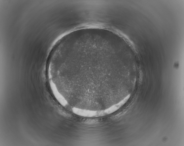 X0000116781174201001281648