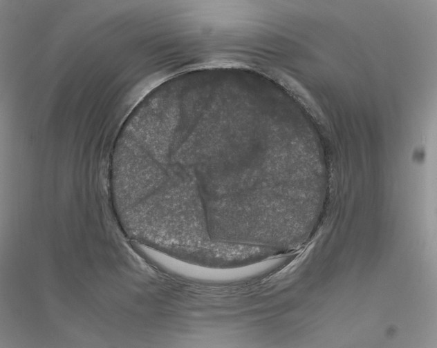 X0000116781177201001281648