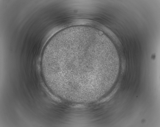 X0000116781178201001281648