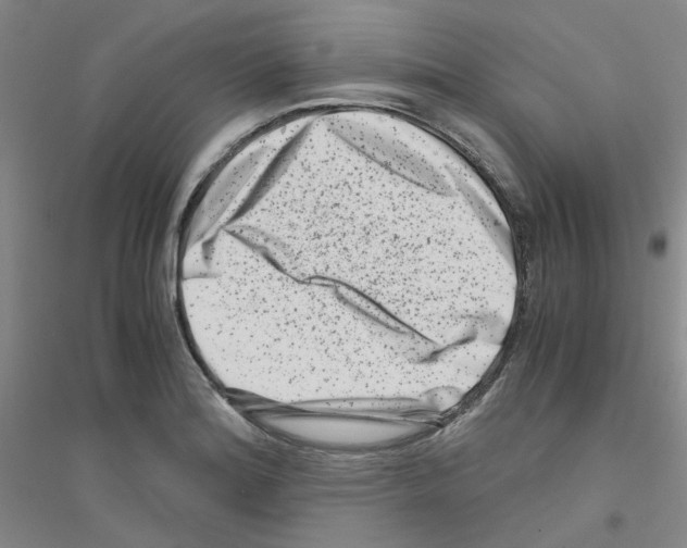 X0000116781180201001281648