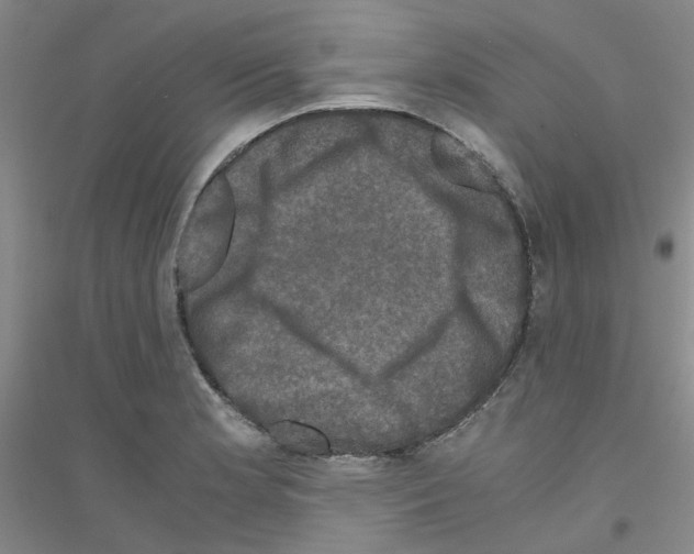 X0000116781181201001281648