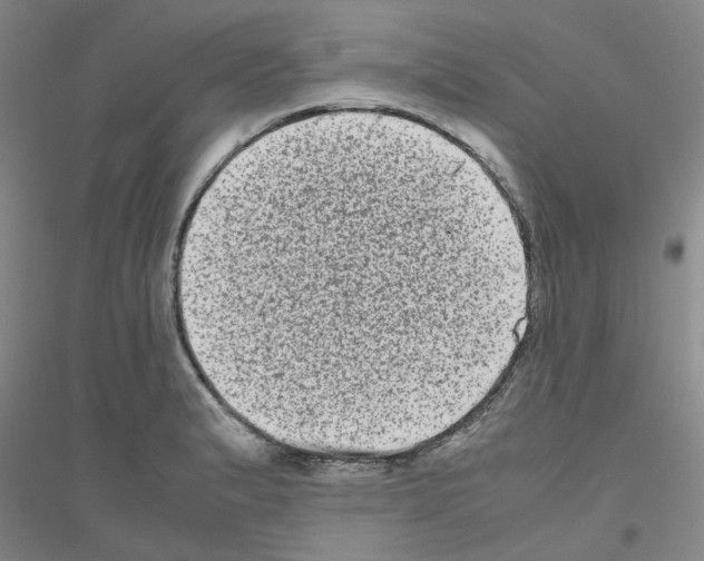 X0000116781183201001281648