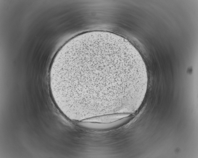 X0000116781184201001281648