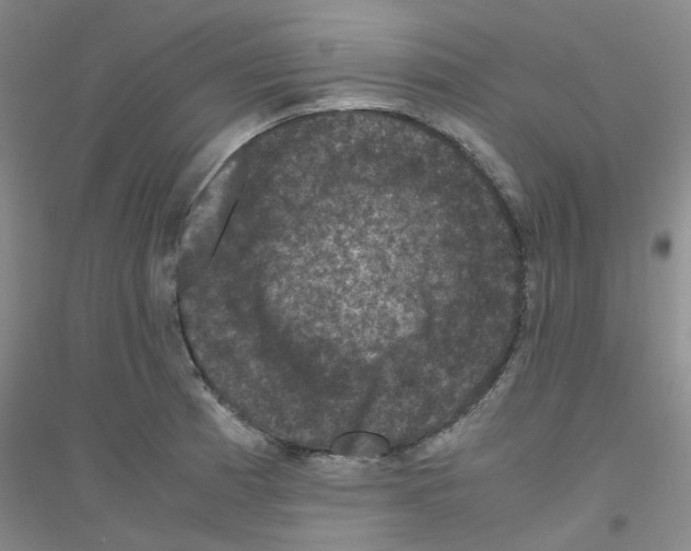 X0000116781185201001281648