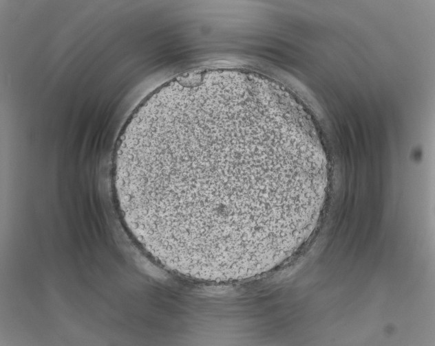 X0000116781186201001281648