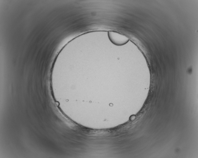 X0000116781187201001281647