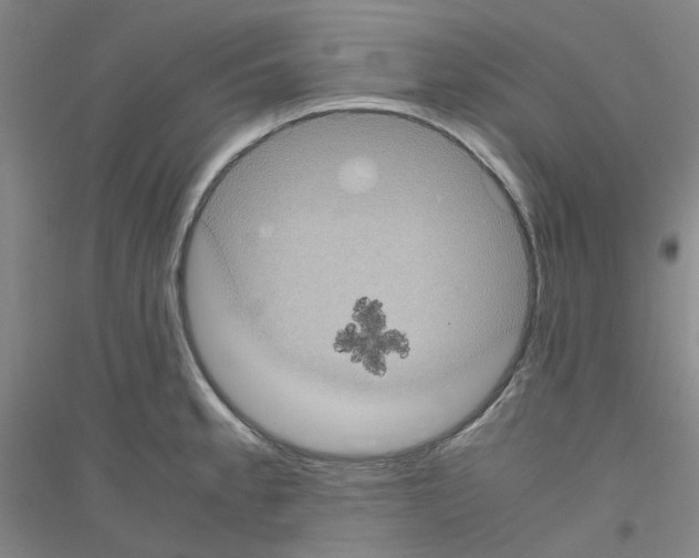 X0000116781189201001281647