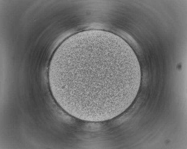 X0000116781190201001281647