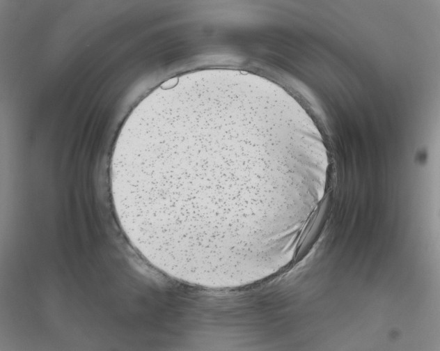 X0000116781192201001281647