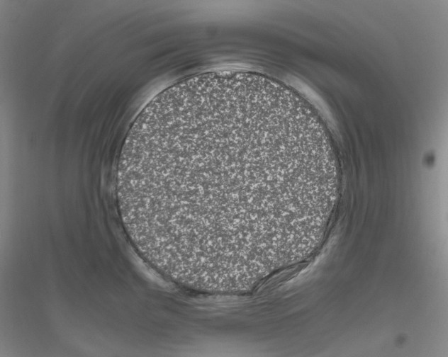 X0000116781193201001281647