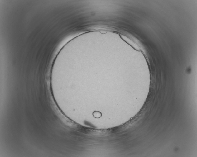 X0000116781195201001281647