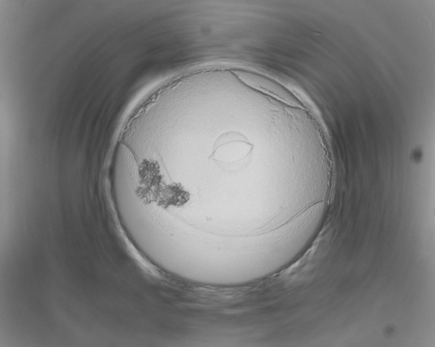 X0000116781197201001281647