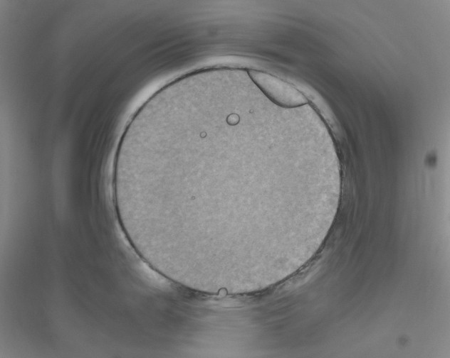 X0000116781199201001281647