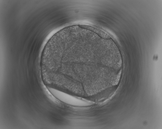 X0000116781200201001281647