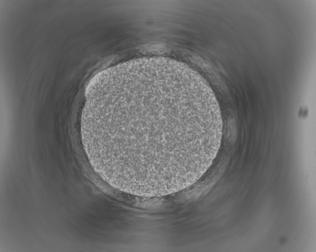 X0000116781201201001281647