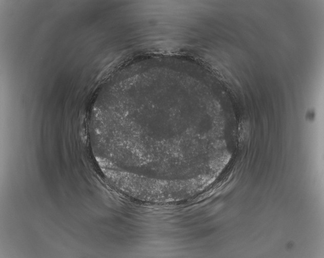 X0000116781202201001281647