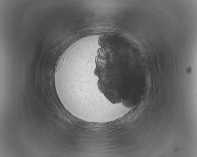 X0000116781204201001281647