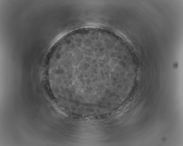 X0000116781208201001281647