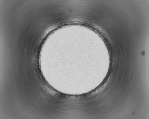 X0000116781210201001281647