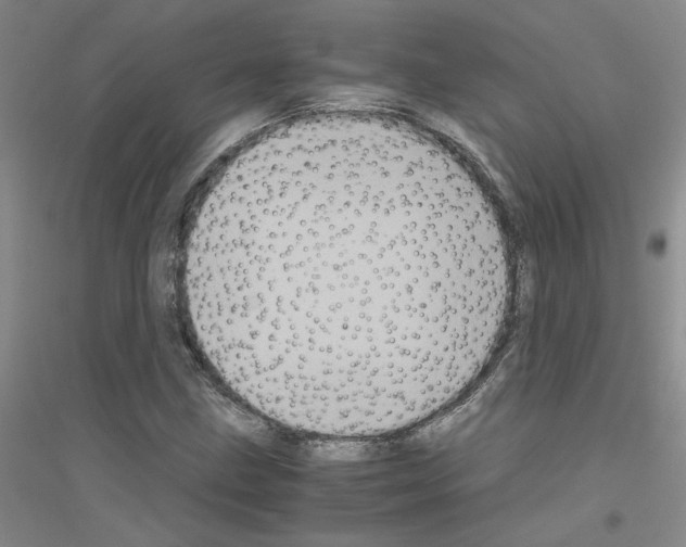 X0000116781211201001281647