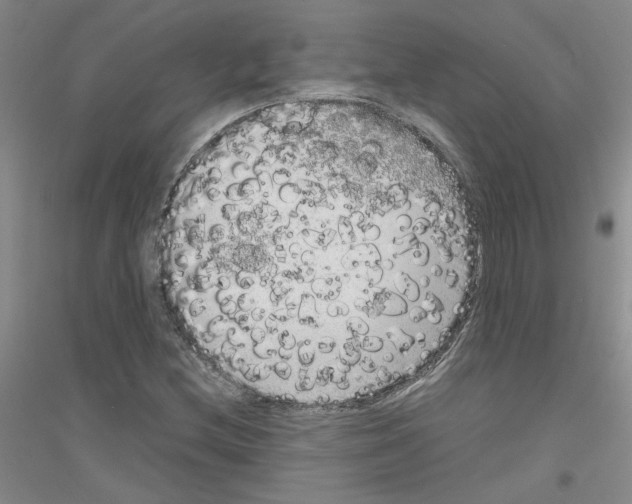 X0000116781212201001281647