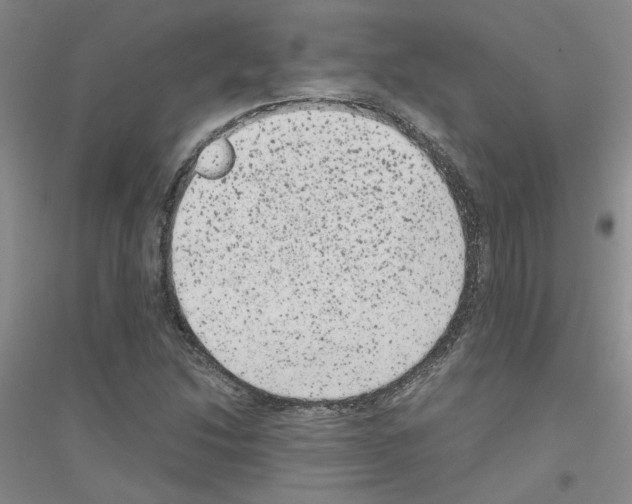 X0000116781214201001281647