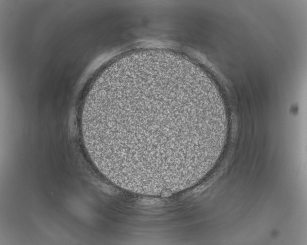 X0000116781215201001281647