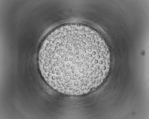 X0000116781216201001281647