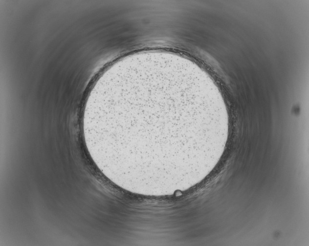 X0000116781218201001281647