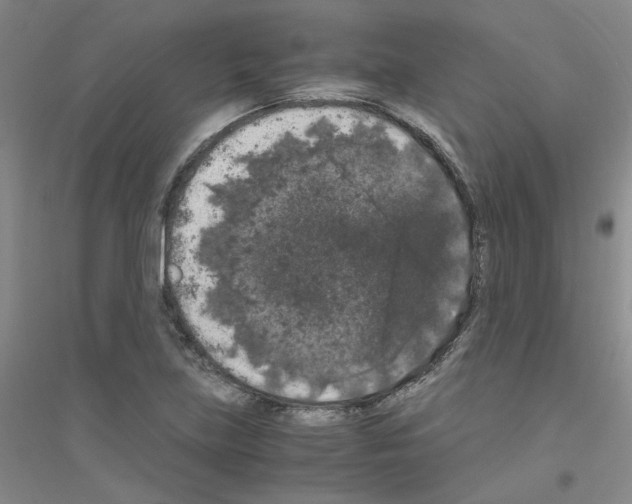 X0000116781219201001281647