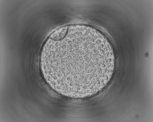 X0000116781220201001281647