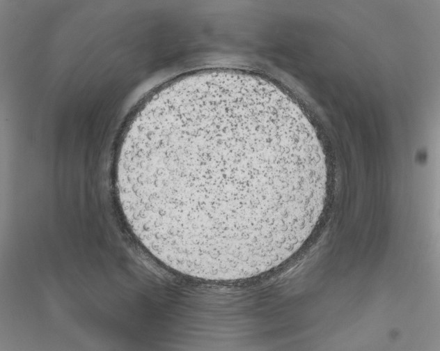 X0000116781222201001281647