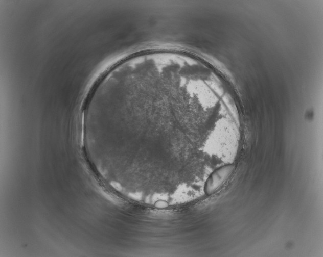 X0000116781223201001281647