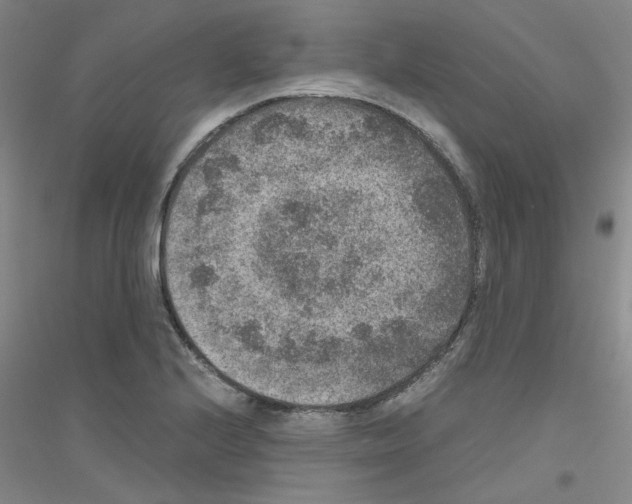 X0000116781224201001281647