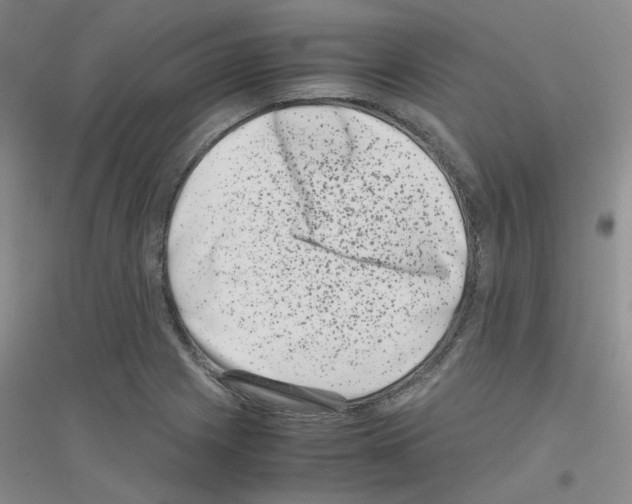 X0000116781225201001281647