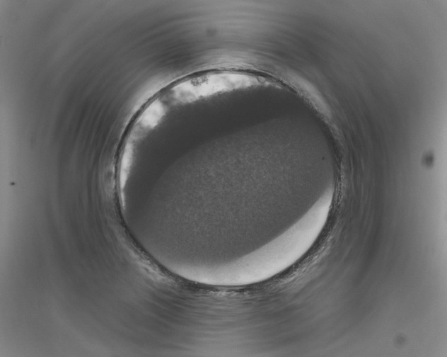 X0000116781226201001281647