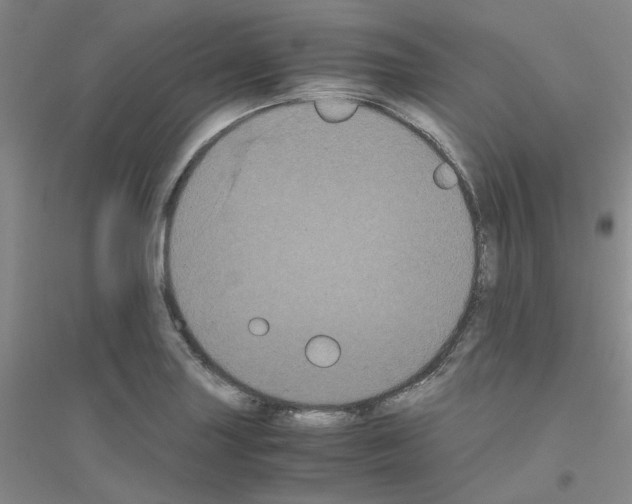 X0000116781227201001281647