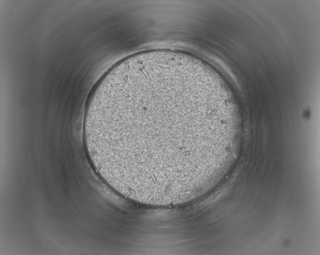 X0000116781228201001281647