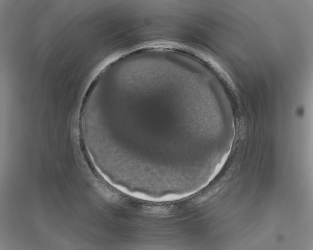 X0000116781229201001281647