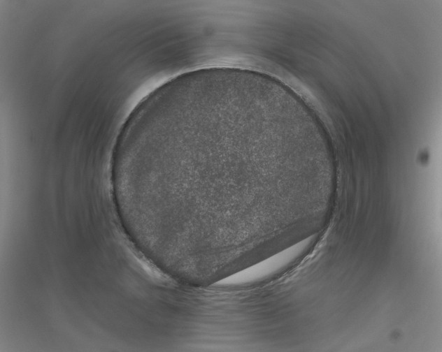 X0000116781230201001281647