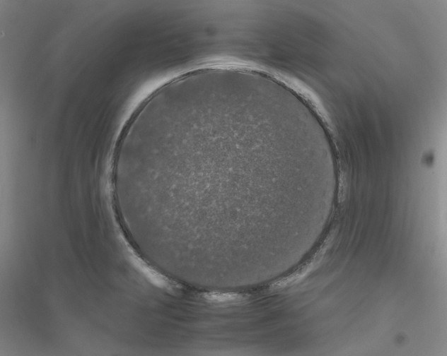 X0000116781231201001281647