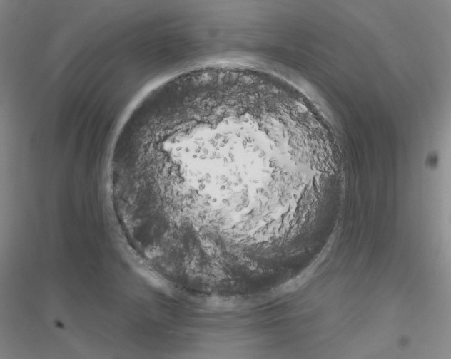 X0000116781232201001281647