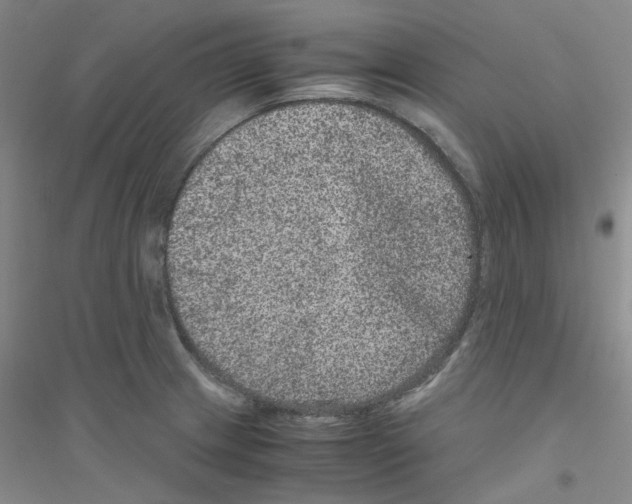 X0000116781233201001281647