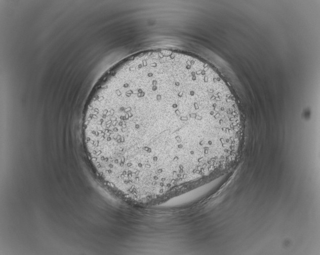 X0000116781234201001281647