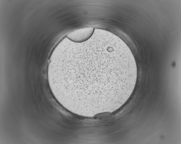 X0000116781236201001281647