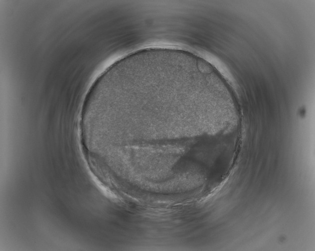 X0000116781237201001281647