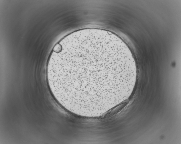 X0000116781238201001281647