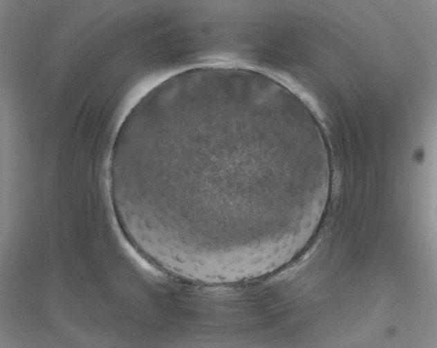 X0000116781239201001281647