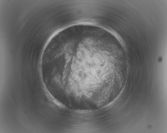 X0000116781240201001281647