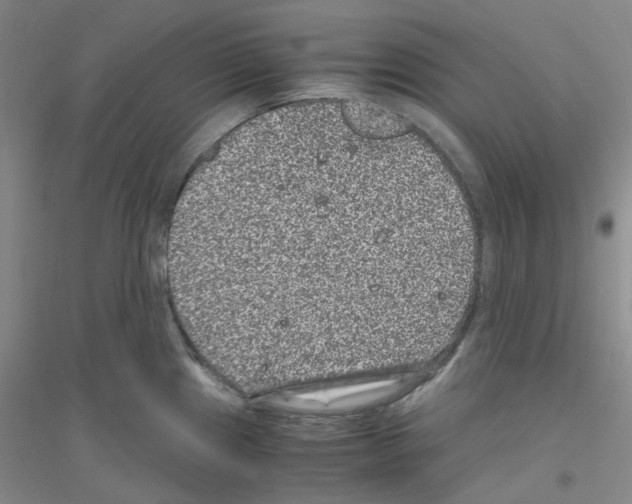 X0000116781241201001281647